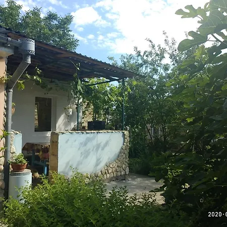 Houses On The Zolotoy Bereg